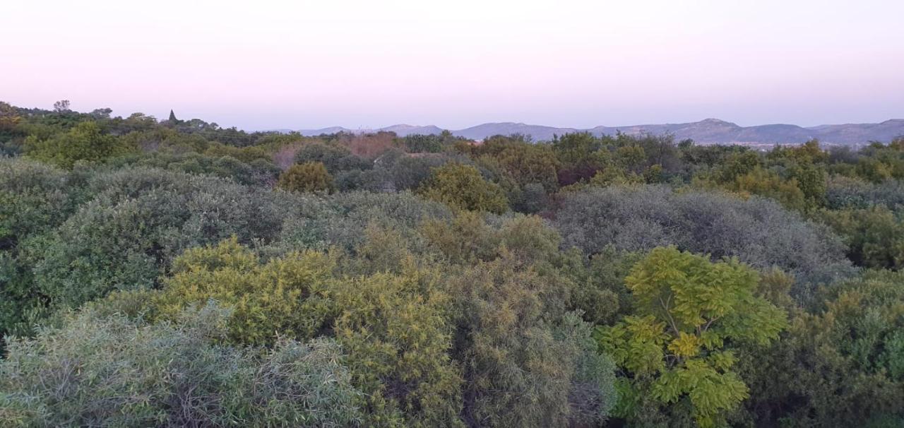 Nehema Manor Villa Schoemanville Екстериор снимка